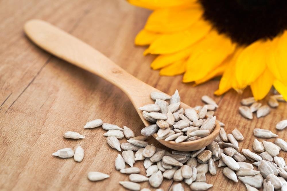 sunflower-seeds-close-view