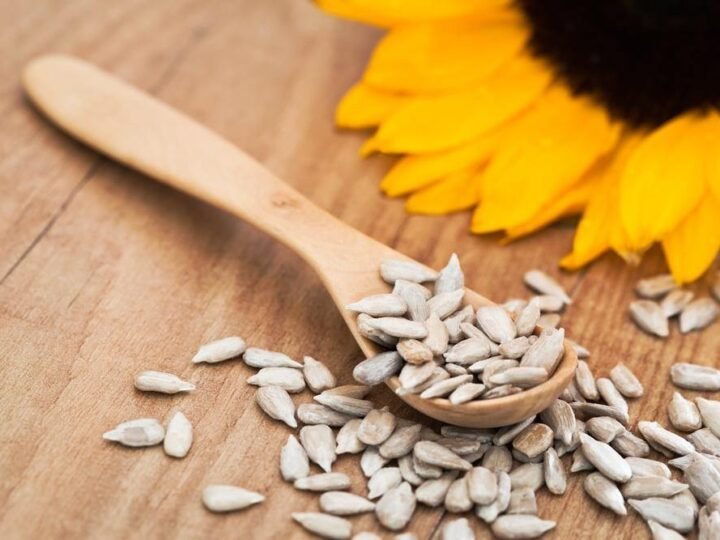 Why Are Health-Conscious People Adding Sunflower Seeds to Their Diet?